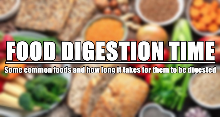 Food Digestion Time Various Foods And How Long It Takes To Digest