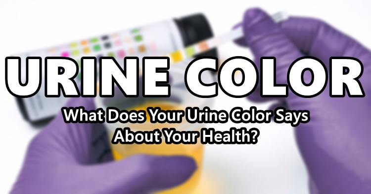 Urine Color What Does Your Urine Color Says About Your Health