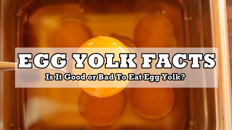 Egg Yolk Benefits
