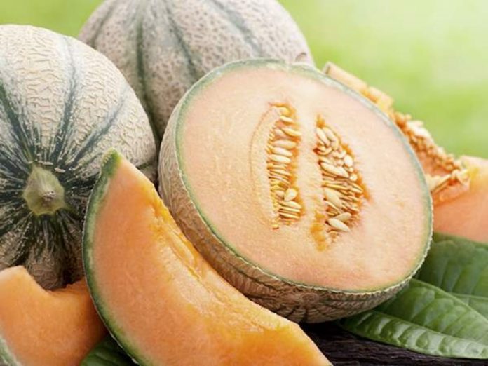 melon-benefits-7-health-benefits-from-eating-melon-fruit