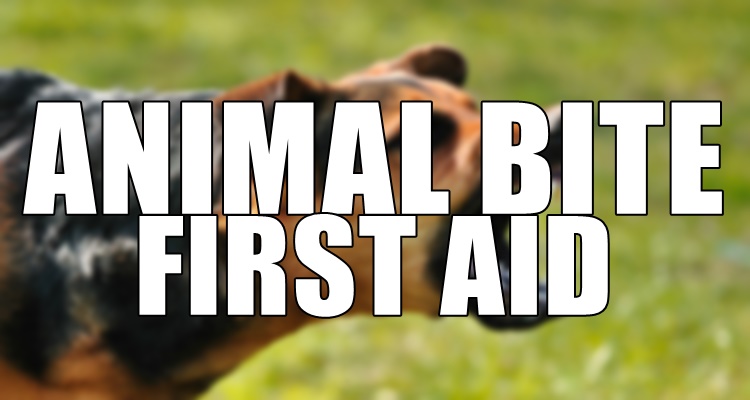 Animal Bite First Aid
