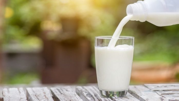 BEST TIME TO DRINK MILK - Morning, Afternoon or Evening?