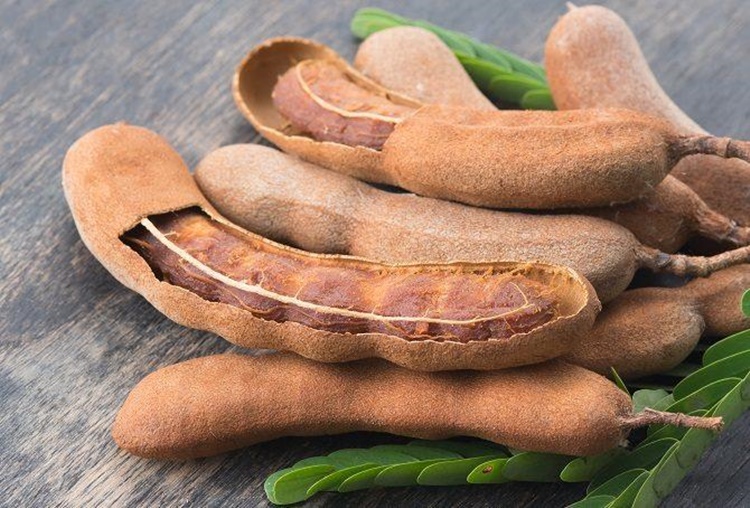 Tamarind Benefits - What You Can Get From Eating This Sour Fruit