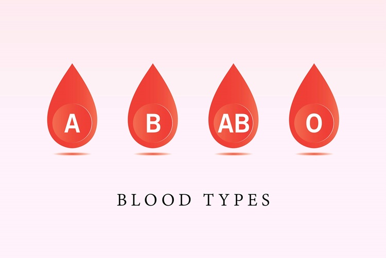 Blood Type Personalities: Here Are the Personalities Based on Blood Type