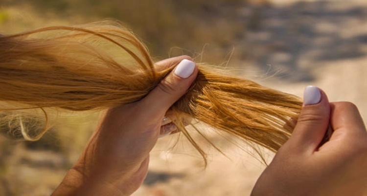 Dry Hair Solutions: Causes and Treatment of This Hair Condition