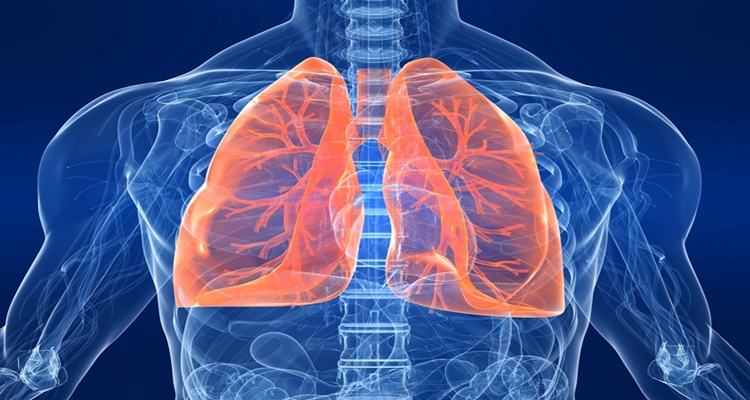 Causes Of Lung Cancer - Causes and Risk Factors Of Lung Cancer