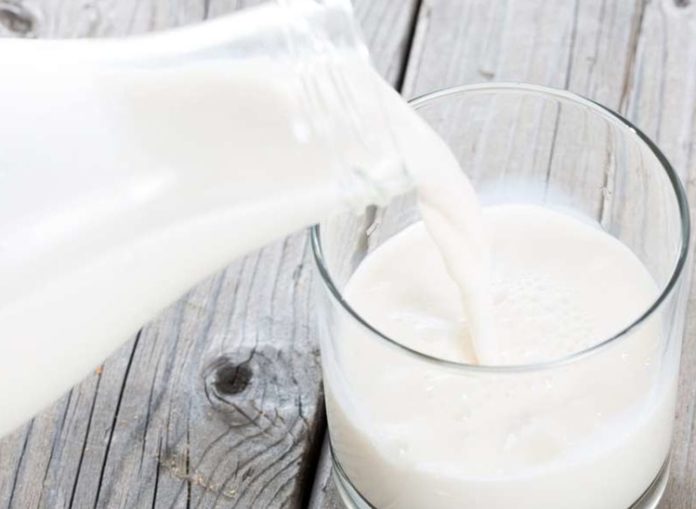 Is It Really Healthy To Drink Milk Everyday? Here's What You Need To Know