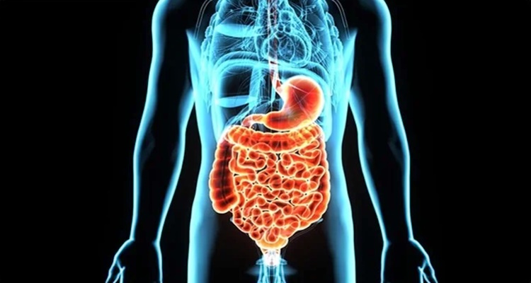 gastrointestinal-disorders-symptoms-causes-and-common-conditions