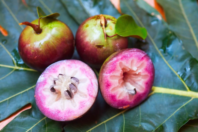 Star Apple Benefits What You Need To Know About This Delicious Fruit