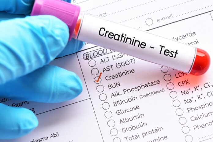 What Is Normal Creatinine Level For Men And Women Here Are The Answers 6156