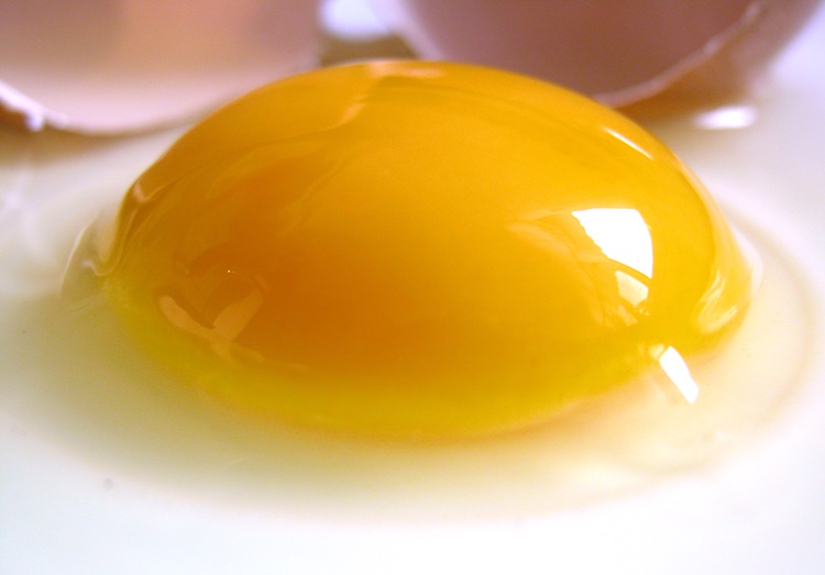 Egg Yolk Benefits