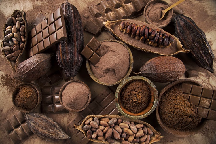 Cocoa Benefits