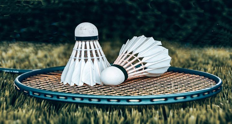 Badminton Skill-Related Fitness