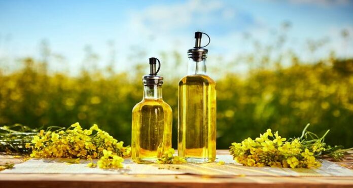 Canola Oil - Reasons Why Canola You Should Use Canola Oil