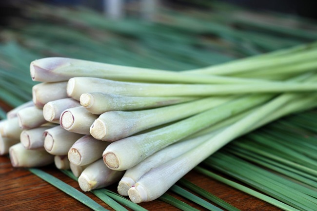 Health Benefits Of Lemongrass What Many People Dont Know About It 