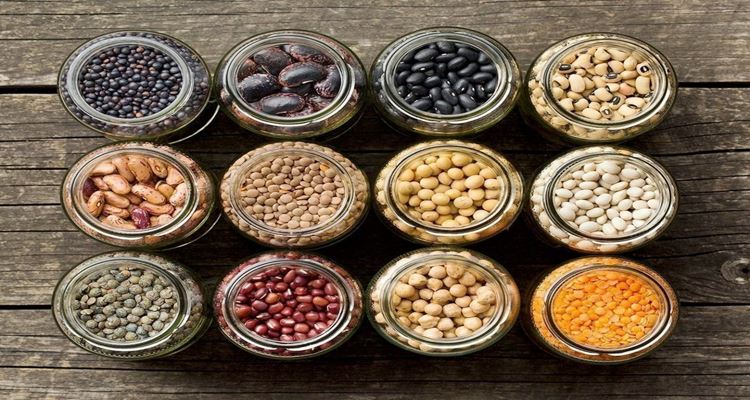 Beans - The Healthiest Types That You Should Eat