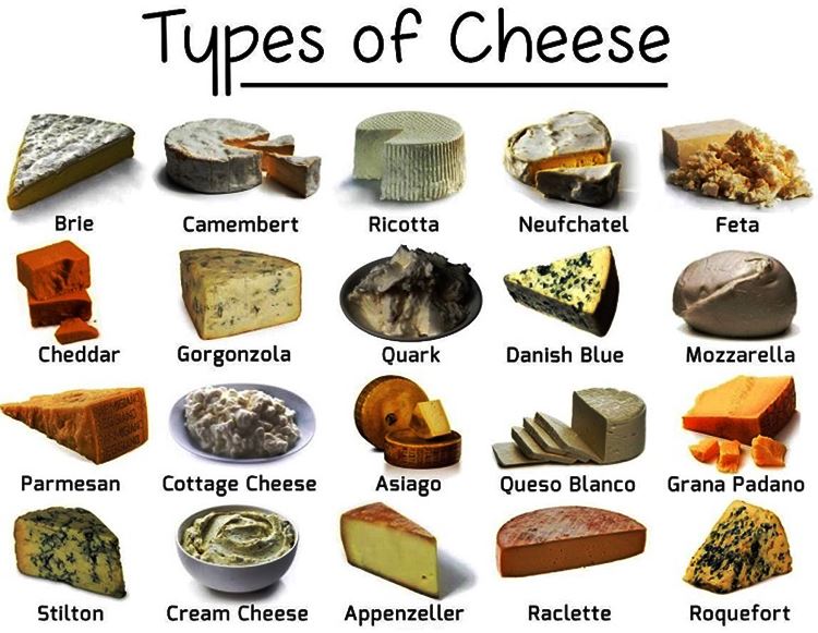 Types Of Cheese and How To Enjoy Them