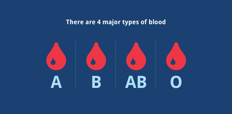 Blood Types Meaning On Health - Here Are The Risks Based On Blood Type